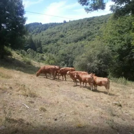 L'ostel Aveyronnais Ferienhaus Golinhac